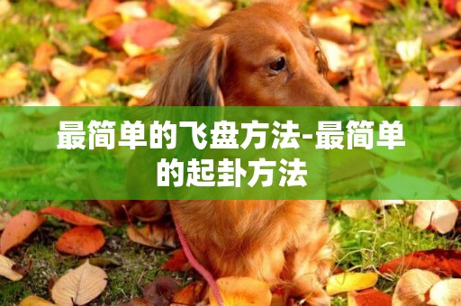 最簡單的飛盤方法-最簡單的起卦方法