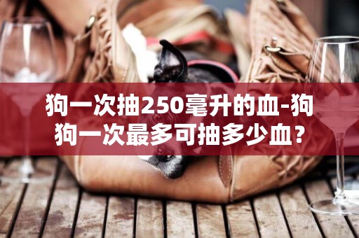 狗一次抽250毫升的血-狗狗一次最多可抽多少血？