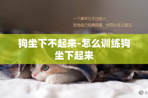 狗坐下不起來-怎么訓練狗坐下起來