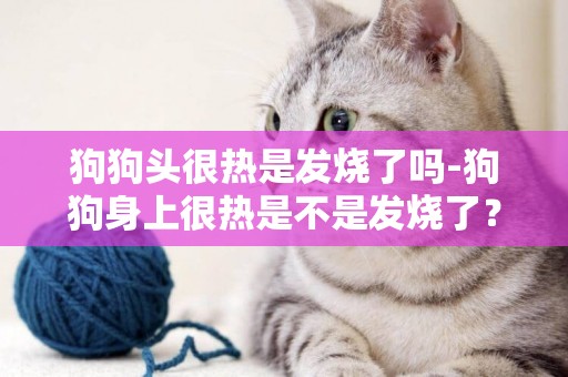 狗狗頭很熱是發燒了嗎-狗狗身上很熱是不是發燒了？