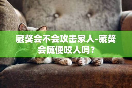 藏獒會不會攻擊家人-藏獒會隨便咬人嗎？