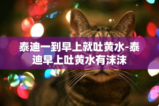 泰迪一到早上就吐黃水-泰迪早上吐黃水有沫沫