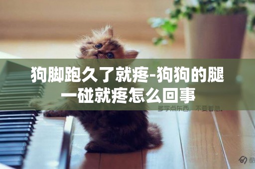 狗腳跑久了就疼-狗狗的腿一碰就疼怎么回事
