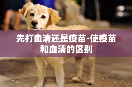 先打血清還是疫苗-使疫苗和血清的區別