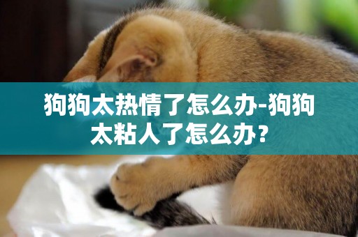 狗狗太熱情了怎么辦-狗狗太粘人了怎么辦？
