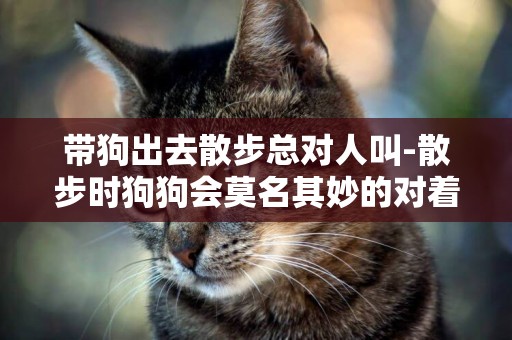 帶狗出去散步總對人叫-散步時狗狗會莫名其妙的對著陌生人叫，為什么，怎么辦？