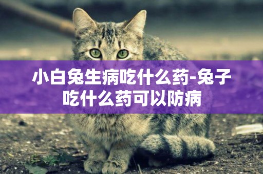 小白兔生病吃什么藥-兔子吃什么藥可以防病