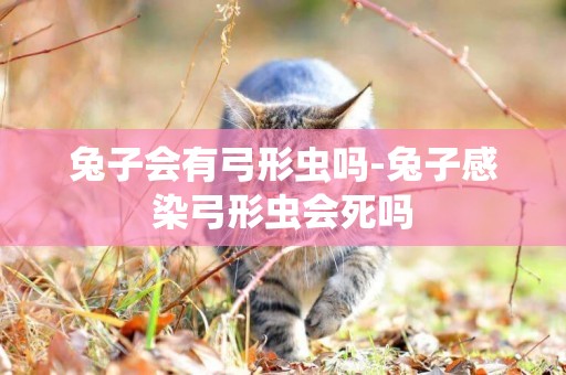 兔子會有弓形蟲嗎-兔子感染弓形蟲會死嗎