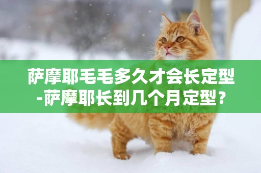 薩摩耶毛毛多久才會長定型-薩摩耶長到幾個月定型？