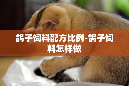 鴿子飼料配方比例-鴿子飼料怎樣做