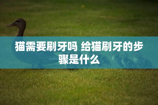 貓需要刷牙嗎 給貓刷牙的步驟是什么