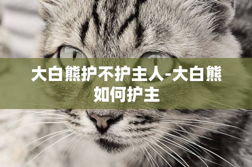 大白熊護不護主人-大白熊如何護主