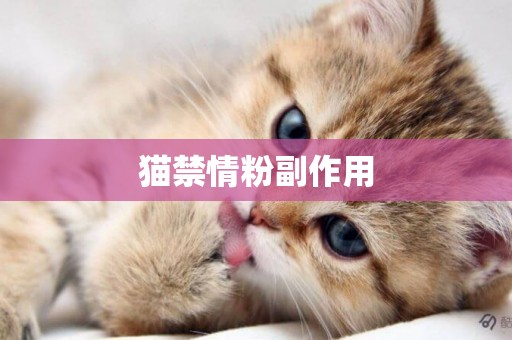 貓禁情粉副作用