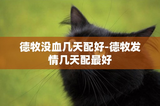 德牧沒血幾天配好-德牧發情幾天配最好