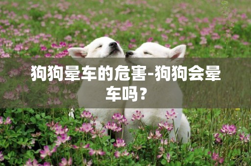 狗狗暈車的危害-狗狗會暈車嗎？
