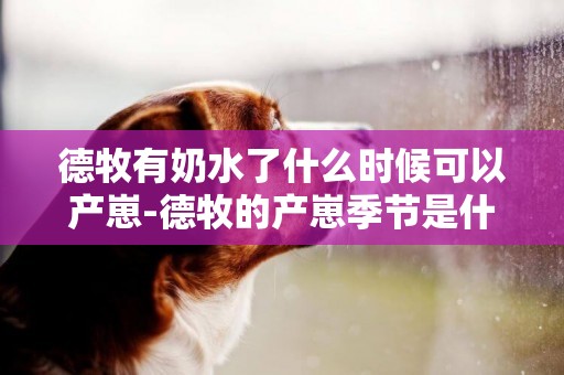 德牧有奶水了什么時候可以產崽-德牧的產崽季節是什么時候