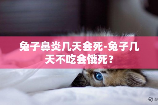 兔子鼻炎幾天會死-兔子幾天不吃會餓死？