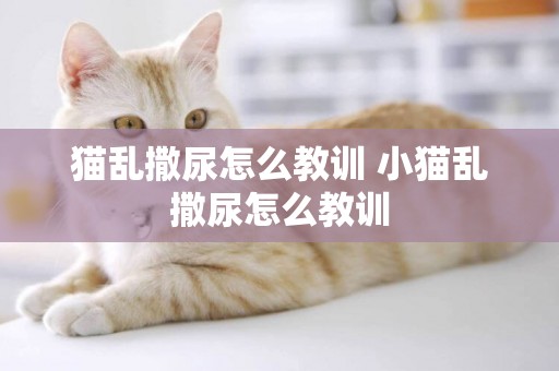 貓亂撒尿怎么教訓 小貓亂撒尿怎么教訓
