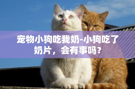 寵物小狗吃我奶-小狗吃了奶片，會有事嗎？