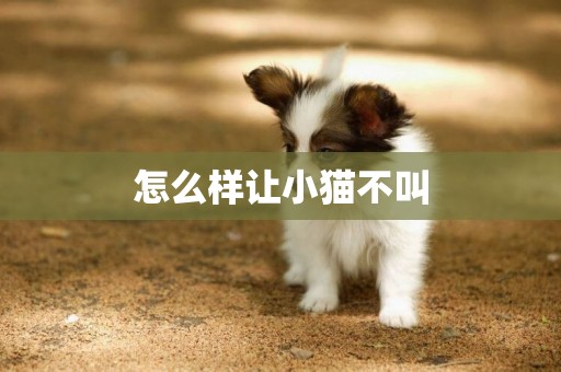 怎么樣讓小貓不叫