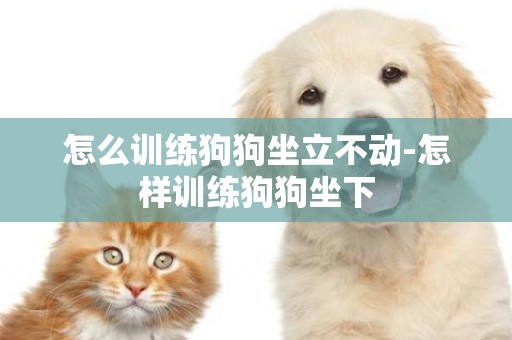 怎么訓練狗狗坐立不動-怎樣訓練狗狗坐下