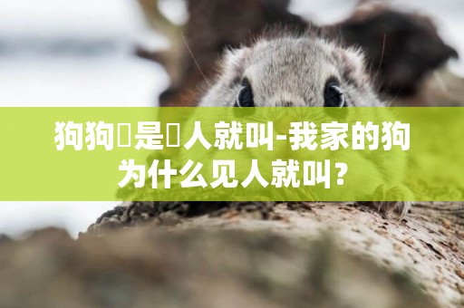 狗狗總是見人就叫-我家的狗為什么見人就叫？
