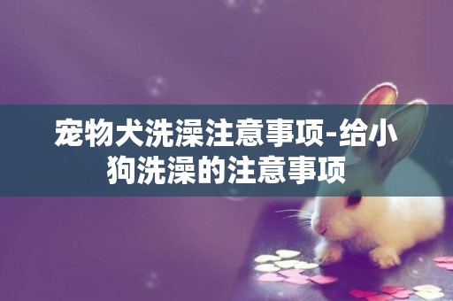寵物犬洗澡注意事項-給小狗洗澡的注意事項