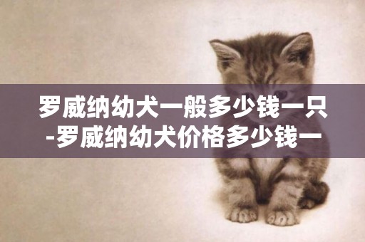 羅威納幼犬一般多少錢一只-羅威納幼犬價格多少錢一只