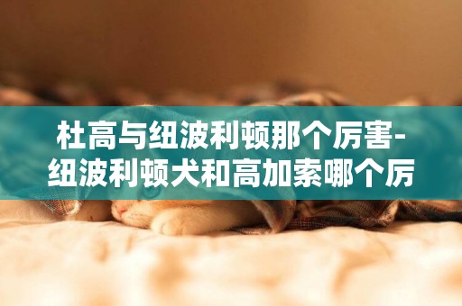 杜高與紐波利頓那個厲害-紐波利頓犬和高加索哪個厲害