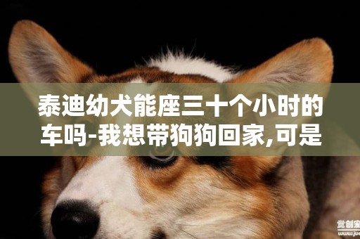 泰迪幼犬能座三十個小時的車嗎-我想帶狗狗回家,可是要座12小時的車~~我怎么就能讓它安靜點