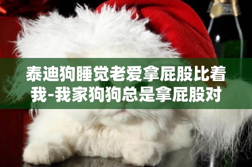 泰迪狗睡覺老愛拿屁股比著我-我家狗狗總是拿屁股對著我,是什么意思嗎?
