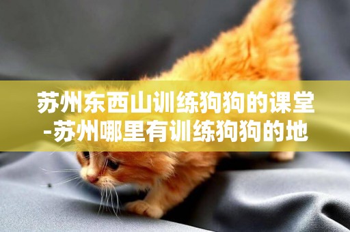 蘇州東西山訓練狗狗的課堂-蘇州哪里有訓練狗狗的地方？