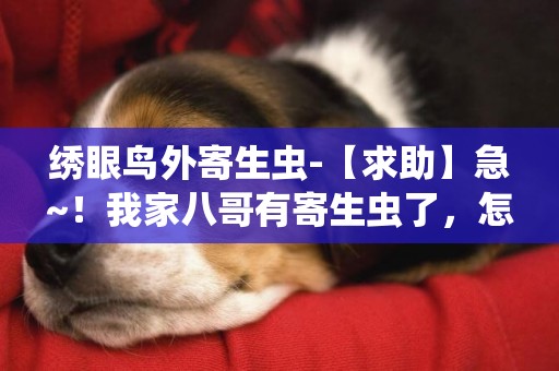 繡眼鳥外寄生蟲-【求助】急~！我家八哥有寄生蟲了，怎么辦？
