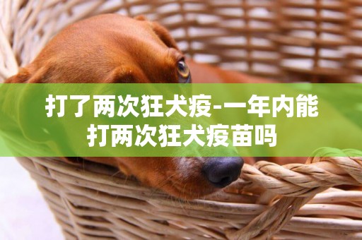 打了兩次狂犬疫-一年內能打兩次狂犬疫苗嗎