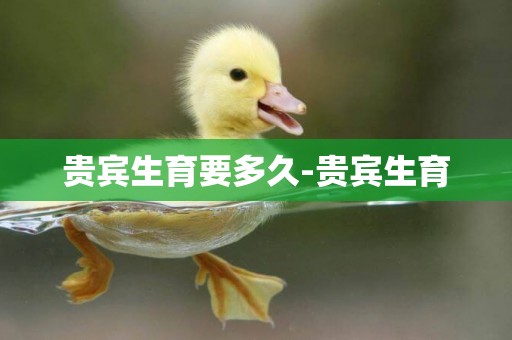 貴賓生育要多久-貴賓生育