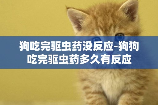 狗吃完驅蟲藥沒反應-狗狗吃完驅蟲藥多久有反應