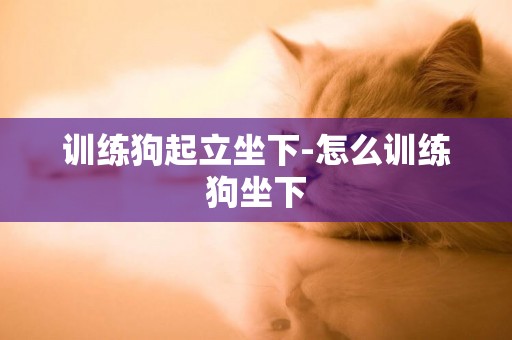 訓練狗起立坐下-怎么訓練狗坐下