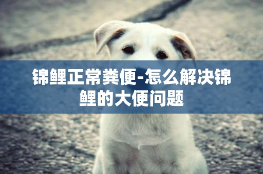 錦鯉正常糞便-怎么解決錦鯉的大便問題