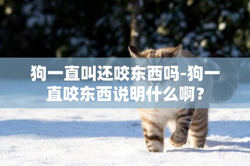 狗一直叫還咬東西嗎-狗一直咬東西說明什么啊？