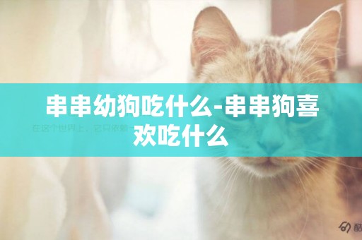 串串幼狗吃什么-串串狗喜歡吃什么