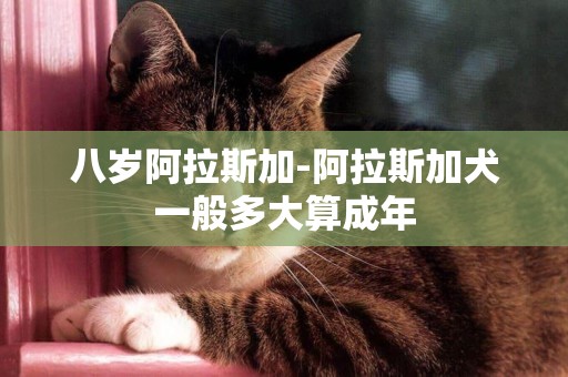 八歲阿拉斯加-阿拉斯加犬一般多大算成年