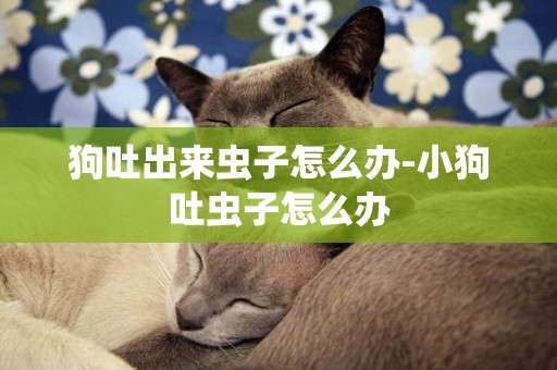 狗吐出來蟲子怎么辦-小狗吐蟲子怎么辦