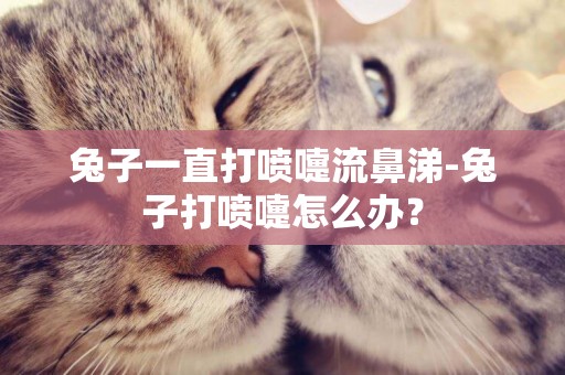 兔子一直打噴嚏流鼻涕-兔子打噴嚏怎么辦？