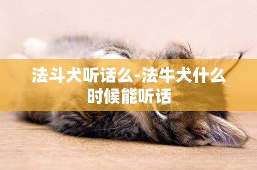 法斗犬聽話么-法牛犬什么時候能聽話