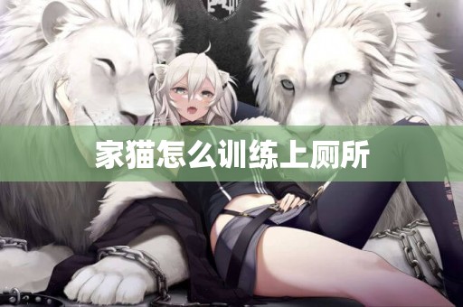 家貓怎么訓練上廁所