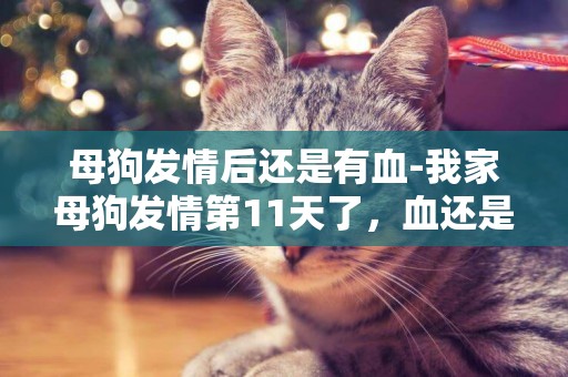 母狗發情后還是有血-我家母狗發情第11天了，血還是很紅，很多，請問正常嗎？