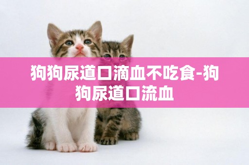 狗狗尿道口滴血不吃食-狗狗尿道口流血