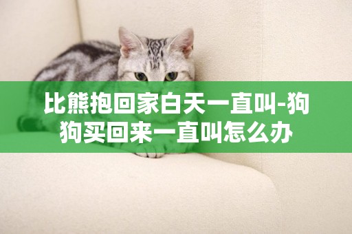 比熊抱回家白天一直叫-狗狗買回來一直叫怎么辦