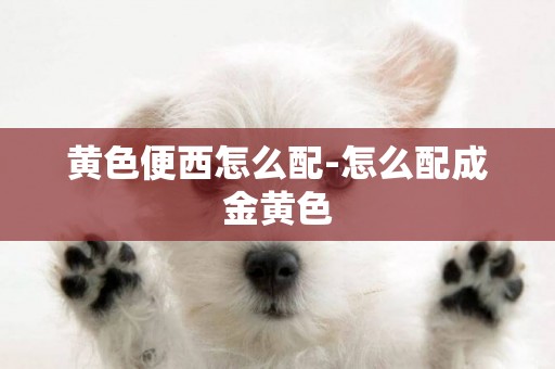 黃色便西怎么配-怎么配成金黃色