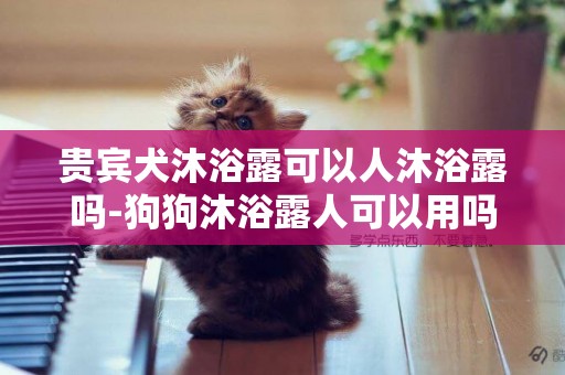 貴賓犬沐浴露可以人沐浴露嗎-狗狗沐浴露人可以用嗎